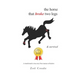 The horse that broke two legs & survived