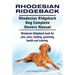 Rhodesian Ridgeback. Rhodesian Ridgeback Dog Complete Owners Manual. Rhodesian Ridgeback book for care, costs, feeding, grooming, health and training.