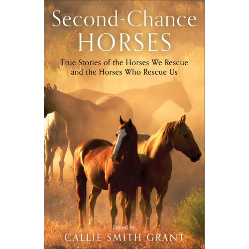 Second-Chance Horses: True Stories of the Horses We Rescue and the Horses Who Rescue Us