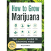 How to Grow Marijuana: The Easiest Guide to Growing Weed