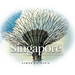 Singapore: Through My Lens