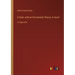 A Duet, with an Occasional Chorus; A novel: in large print