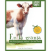 En la granja: My First Spanish Words - On The Farm. An Early Development Immersion Language Learning Book for Budding Bilingual Babi