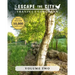 Escape the City volume 2