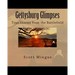 Gettysburg Glimpses: True Stories from the Battlefield