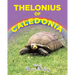 Thelonius of Caledonia