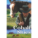 Cobalt Skies: A More Perfect Union - Book Two