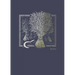 Net Abide Bible Journal - Ruth, Paperback, Comfort Print: Holy Bible