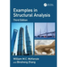Examples in Structural Analysis