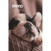 Sleep Diary - Sleepy Pup
