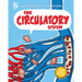 The Circulatory System