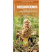 Mushrooms: An Introduction to Familiar North American Species