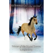 Winter of the Crystal Dances: A Wilderness Horse Adventure