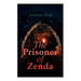 The Prisoner of Zenda: Dystopian Novel