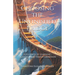 Choosing the Unfinished Bridge: A Journey of Learning, Healing, and Transformation