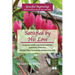 Satisfied by His Love: Let Jesus satisfy your heart with the goodness of His love (Study 8 New Testament women who did)