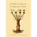 A Field Guide to Imaginary Trees