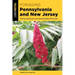 Foraging Pennsylvania and New Jersey