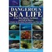 Dangerous Sea Life of the West Atlantic, Caribbean, and Gulf of Mexico: A Guide for Accident Prevention and First Aid