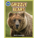 Grizzly Bear Activity Workbook ages 4-8