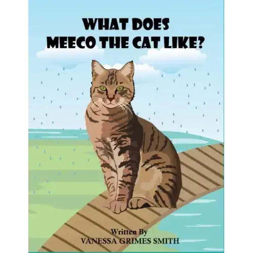What Does Meeco The Cat Like?