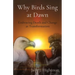 Why Birds Sing at Dawn: Embracing Death and Change as Transformation