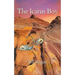The Icarus Boy