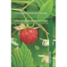 Principles of Natural Farming