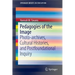 Pedagogies of the Image: Photo-Archives, Cultural Histories, and Postfoundational Inquiry