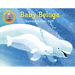 Baby Beluga