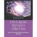 Usui Reiki Ryoho Tibetan: Level 4: Energy healing for Master Teacher