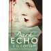 Dark Echo: A Ghost Story