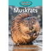Muskrats