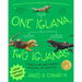 One Iguana, Two Iguanas: A Story of Accident, Natural Selection, and Evolution