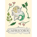 Capricorn