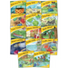 Jolly Phonic Little Word Books: In Print Letters (Ae)