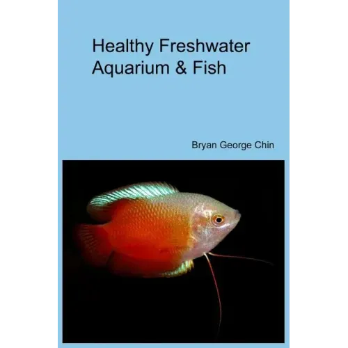 Healthy Freshwater Aquarium & Fish