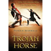 Trojan Horse: How the Greeks Won the Trojan War