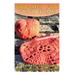 Crochet for Your Home: 20 Baskets, Lapthrows, and Dishcloths Patterns: (Crochet Patterns, Crochet Stitches)