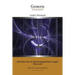 Introducción al electromagnetismo según Maxwell: (Mecánica electromagnética)