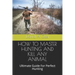 How to Master Hunting and Kill Any Animal: Ultimate Guide For Perfect Hunting