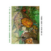 Alison Barbaron's Color Book for Kids of All Ages, Vol. 2