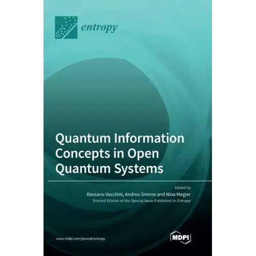 Quantum Information Concepts in Open Quantum Systems
