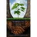Re-Imagining the Church: Developing a Healthy Root System: An Introduction to Gospel-Formed Communities Living on Mission