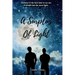 A Surplus of Light: A Gay Coming-of-Age Tale