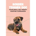 Border Terrier Dog: Your Small but Mighty Hunting Companion: Border Terrier Breed Info, Pictures, Facts and Care Guide