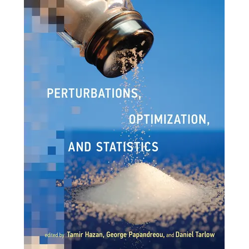 Perturbations, Optimization, and Statistics