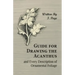 Guide for Drawing the Acanthus, and Every Description of Ornamental Foliage
