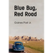 Blue Bug, Red Road