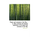 Prayers and Ceremonies of the Mass: Or, Moral, Doctrinal and Liturgical Explanations of the Prayers